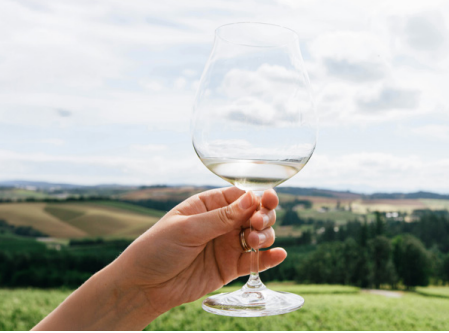 Weinglas mit Weißwein vor der Landschaft am Bodensee
