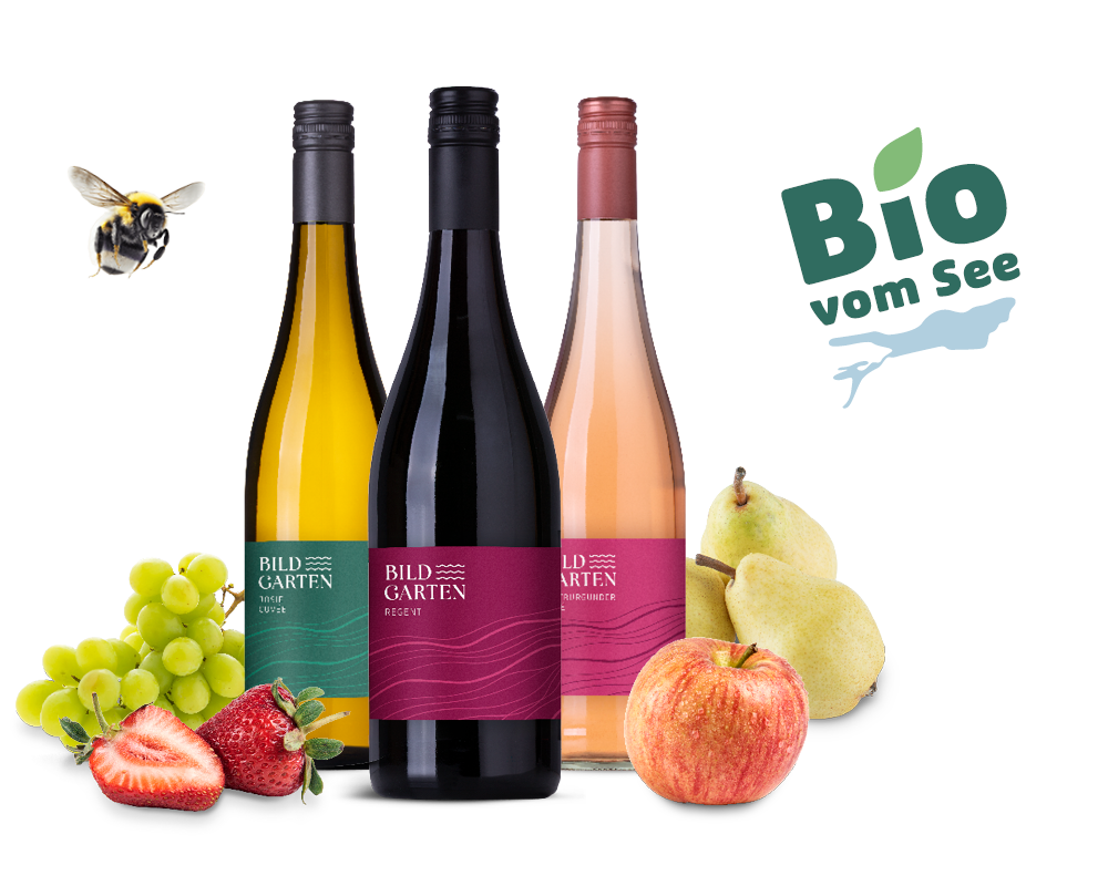 Weißwein, Rotwein und Rosé vom Obst- & Winzerhof Bildgarten mit Trauben, Beeren, Äpfeln und Birnen